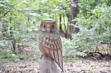 Beautiful shot of a wooden carved owl figurine in a forest