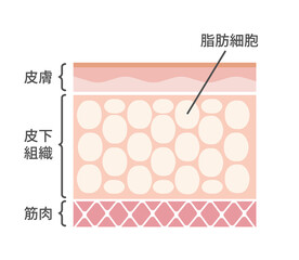 舌 べろ が表す体の不調シグナル 健康な舌と白い舌苔 Wall Mural Barks