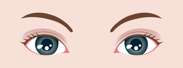 Female close up eyes vector illustration