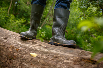 A man in rubber boots is standing on a fallen tree in the forest. Waterproof footwear for country walks and work. Outdoor activities, fishing, hunting and hiking.