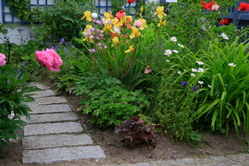 Vintage Gartenbau: Gestaltung eines Vorgartens als Bauerngarten mit üppig und wild wachsenden Pfingstrosen, Lilien, Margariten, Klatschmohn entlang eines Weges aus Naturstein Platten 