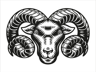 Fototapeta premium Aries zodiac sign vector illustration isolated on white background.