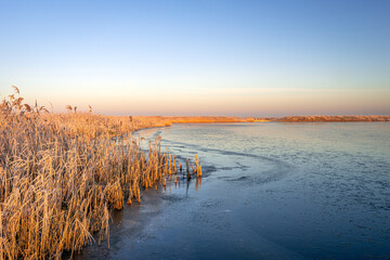 Landscape of the Dutch National Park Biesbosch in wintertime