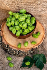 Glass of beer with hops