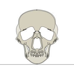 Flat continuous line art human skull