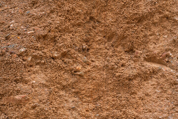 Texture and background of earth and stone