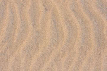 Fototapeta na wymiar Find sand texture with wind lines as a background or wallpaper