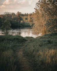 The road to the river among the grass