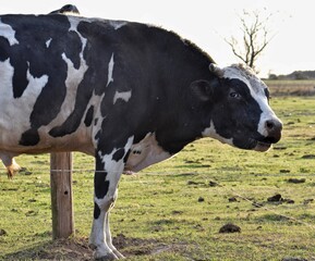 What’s the matter?