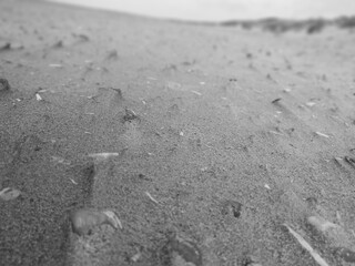 tire tracks in the sand