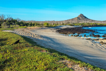 Dragon Hill, Santa Cruz Island, Galapagos, Ecuador, Unesco World Heritage Site
