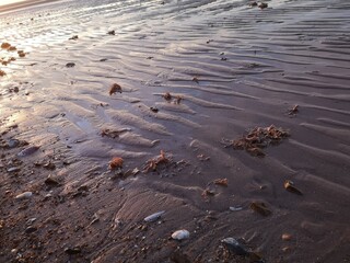 beach in the morning