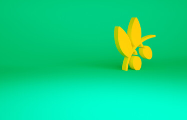 Fototapeta na wymiar Orange Olives branch icon isolated on green background. Minimalism concept. 3d illustration 3D render.