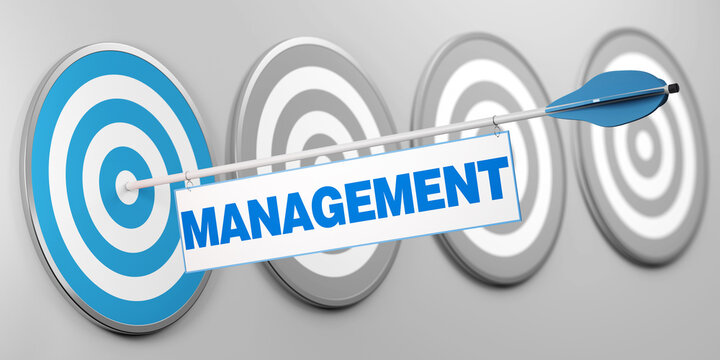 Management als Konzept auf Zielscheibe