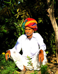 A Hindu farmer sitting in a garden under a mango tree