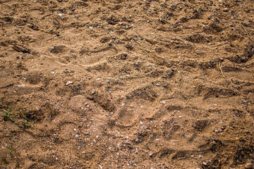 soil in the ground