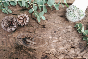 wooden background and frame with leaves, cactuses and white flowers