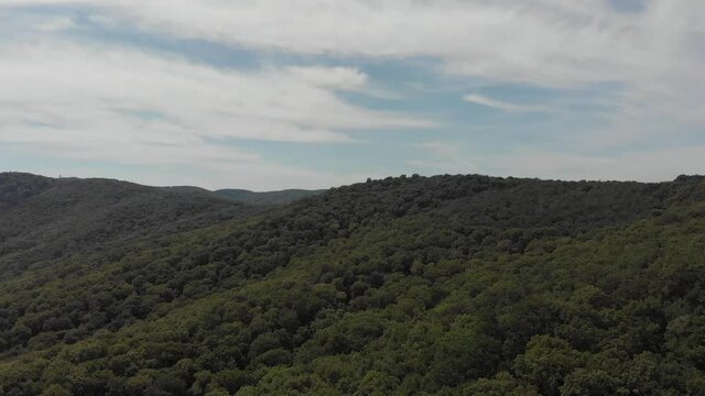 Aerial view of a lush mountain forest, blue sky and white clouds with space for text.