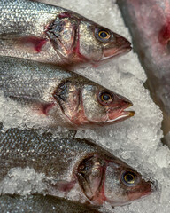 Fresh fish on ice in a restaurant