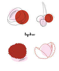 lychee in various techniques. tempting and tasty fruit