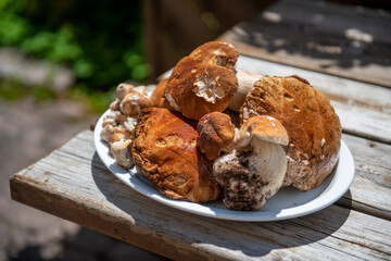 Tray of Boletus Mushrooms on a wooden table