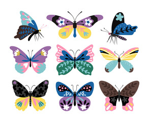 Color drawing butterfly set. Stylized multicolor butterflies and moths, colorful papillons of wildlife, vector illustration creatures of fauna isolated on white background © ssstocker