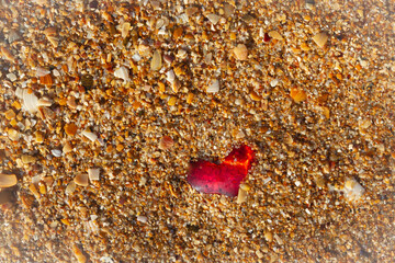A red transparent heart lies on the yellow, Golden sand and shells on the beach by the sea. Sea...