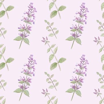 Seamless pattern with garden balm on a light lilac background. Nice and cute design for farmhouse and cottage style. Elements are hand-drawn in watercolors. 