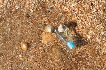 Sea cosmetics with sea minerals and beautiful seashells on the beach.