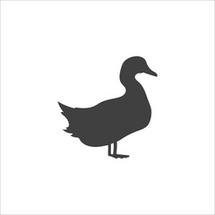 Duck icon flat style on white. Vector