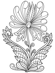 flower fairy plant coloring outline illustration for book Black and white image with herbal elements anti stress vector graphics print for textile stroke doodle sketch Abstract  isolate on white back
