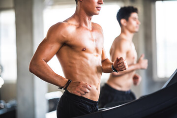 Obraz premium Gym fitness trainer concept, health lovers exercise in sports gym for a strong healthy body