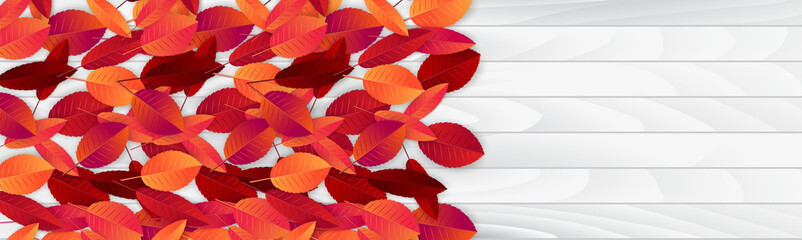 Fototapeta na wymiar Autumn leaves banner or header. Fall background. Red and orange foliage on wooden board. Thanksgiving season holiday concept. Realistic 3d vector illustration.