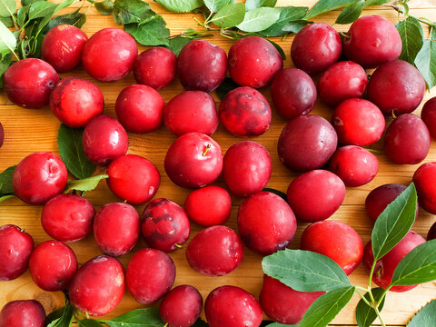 Cherry plum berries