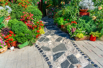 Obraz premium colorful flower composition with a stone pathway to it gardening concept