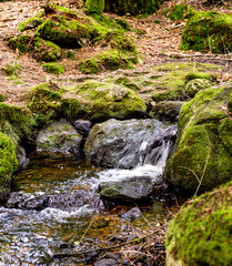 Forest river and waterfall through rocks