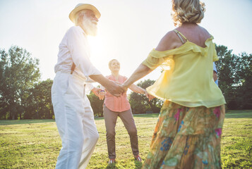 Group of seniors making a picnic at the park and having fun