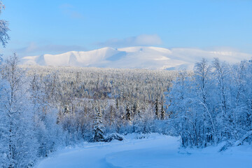 Winter landscape - a forest covered with snow against the background of the Khibiny mountains.