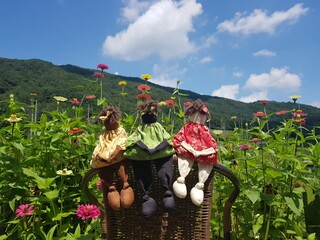 we all together under the sky