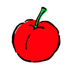 Illustration of Acerola: Illustration like hand drawn illustration with ink and brush