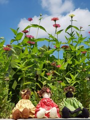 we all together under the sky