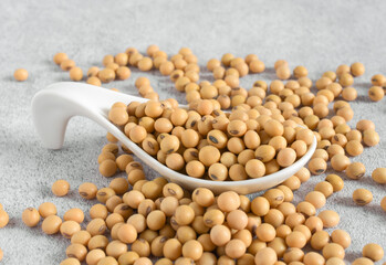 Soybeans in a white spoon on a gray background,copy space.