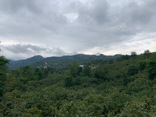 Mountains, villages and hazelnut fields from Black sea region of Turkey, Ordu city