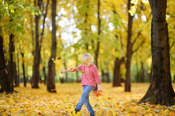 Little boy having fun during stroll in the forest at sunny autumn day. Child kicks maple leaves. Active family time on nature. Hiking with little kids.