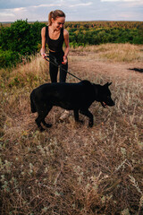 Young slender girl at sunset plays with a sheepdog