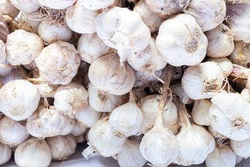 Garlic is an herb and spice. On a white background