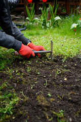 Fototapeta premium weeding in the garden with a small hoe