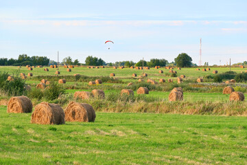 Harvesting bales of hay. They are located in a meadow in the glancing warm sunset sunlight.