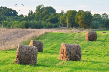 Harvesting bales of hay. They are located in a meadow in the glancing warm sunset sunlight.