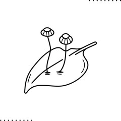 Agaricomycetes, fungi, leaf litter, saprophytes vector icon in outline